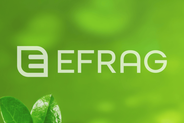 Gli ESRS Semplificati: una Svolta per la Rendicontazione di Sostenibilità in Europa